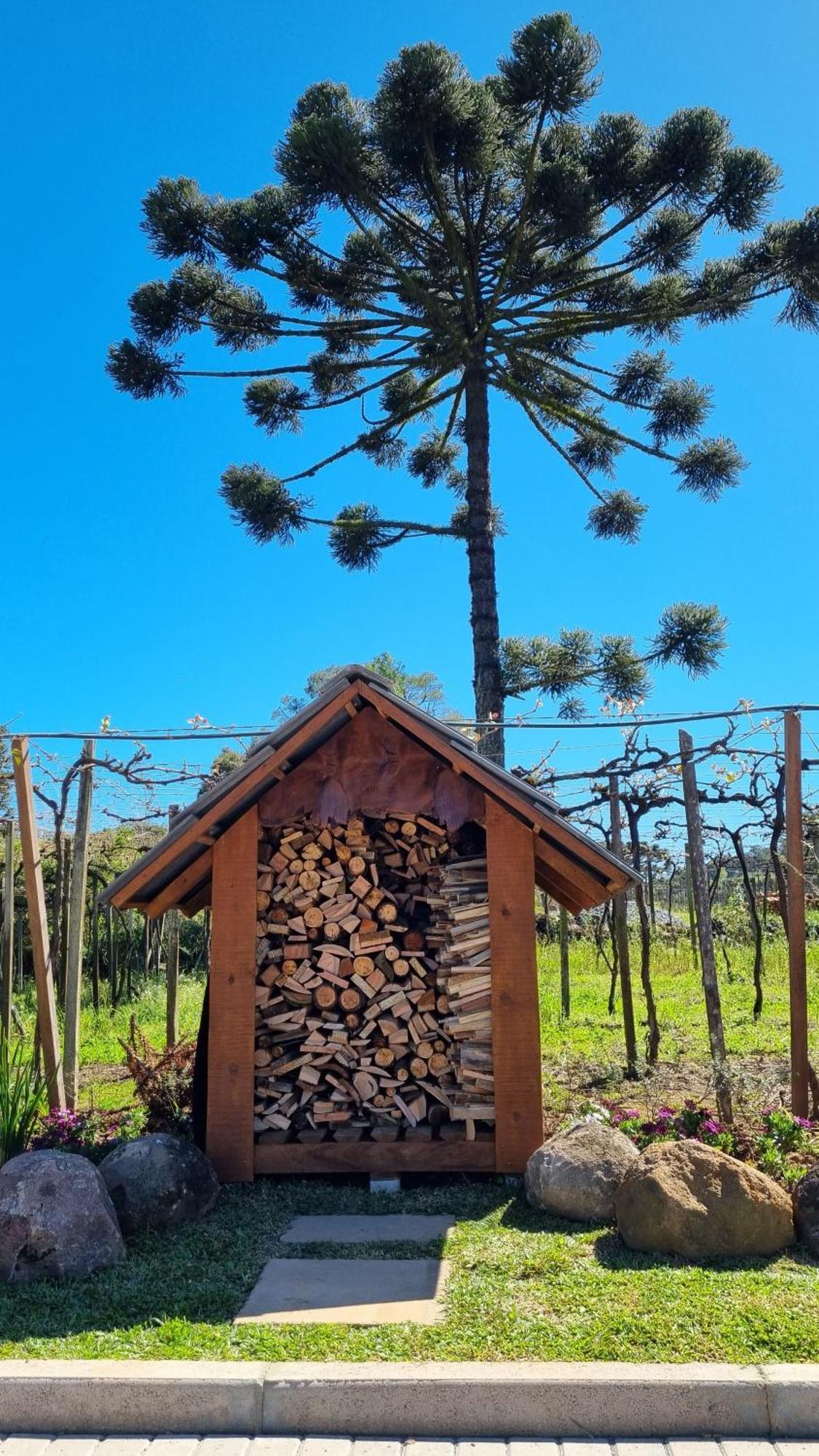 Cabanas Le Vigne Pinto Bandeira Extérieur photo