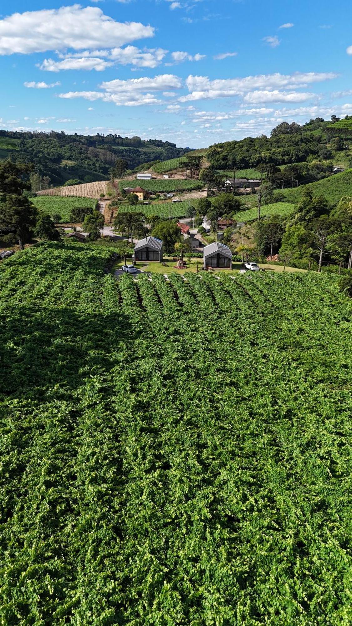 Cabanas Le Vigne Pinto Bandeira Extérieur photo