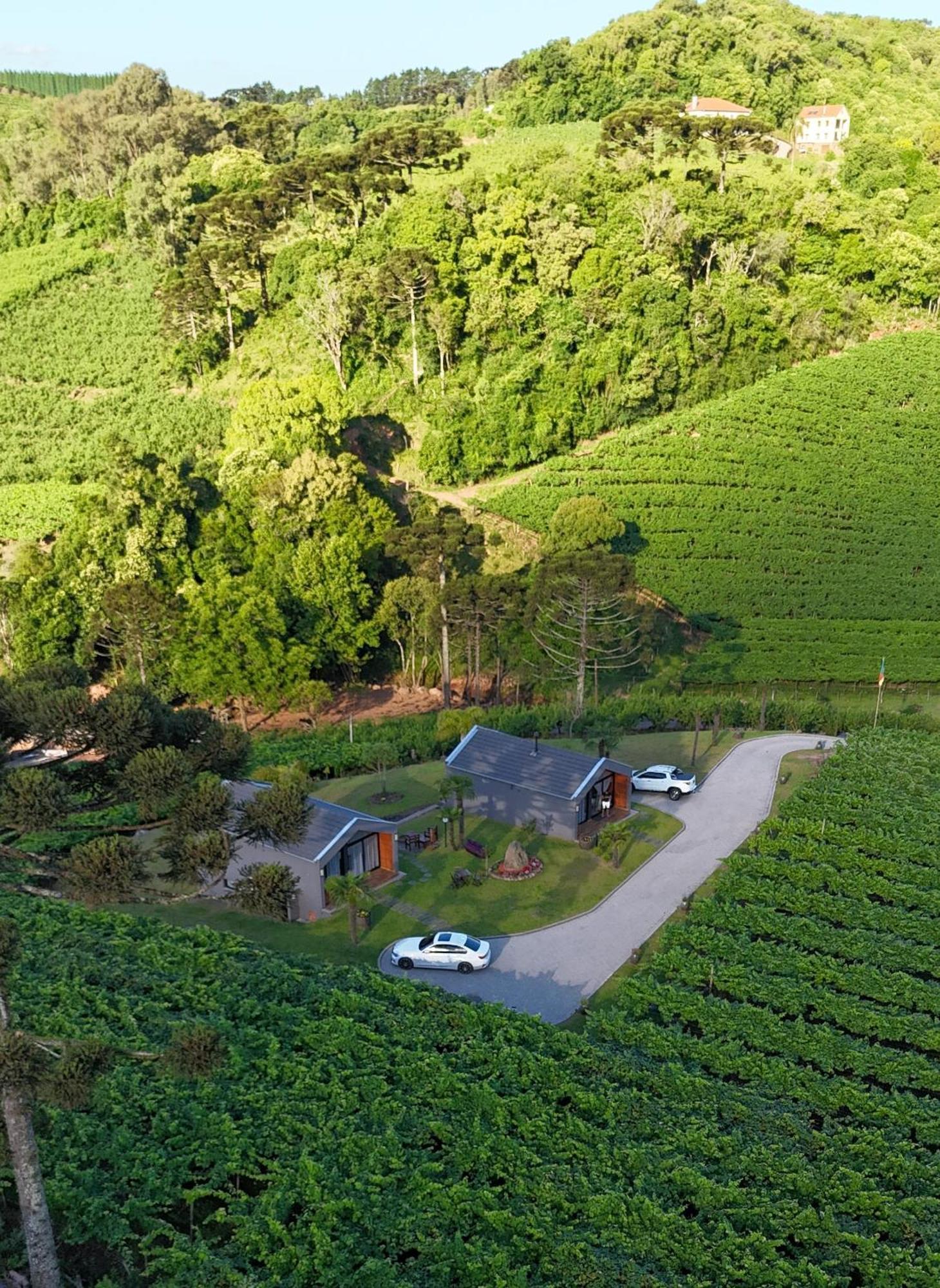 Cabanas Le Vigne Pinto Bandeira Extérieur photo